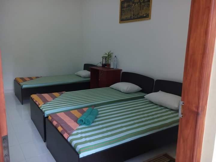 Dinimuthu Rest Inn ウェラワヤ エクステリア 写真